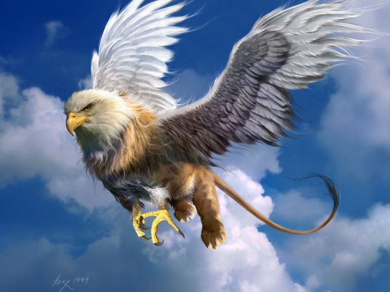 File:Gryphon.jpg