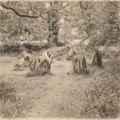 Thumbnail for version as of 11:23, 23 June 2026