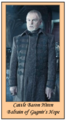 Thumbnail for version as of 23:39, 11 March 2008