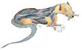 Thumbnail for version as of 01:06, 13 December 2007